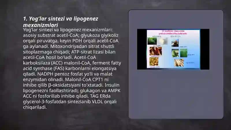 Yoğlar va uglevodlar almashinuvi fiziologiyasi 3