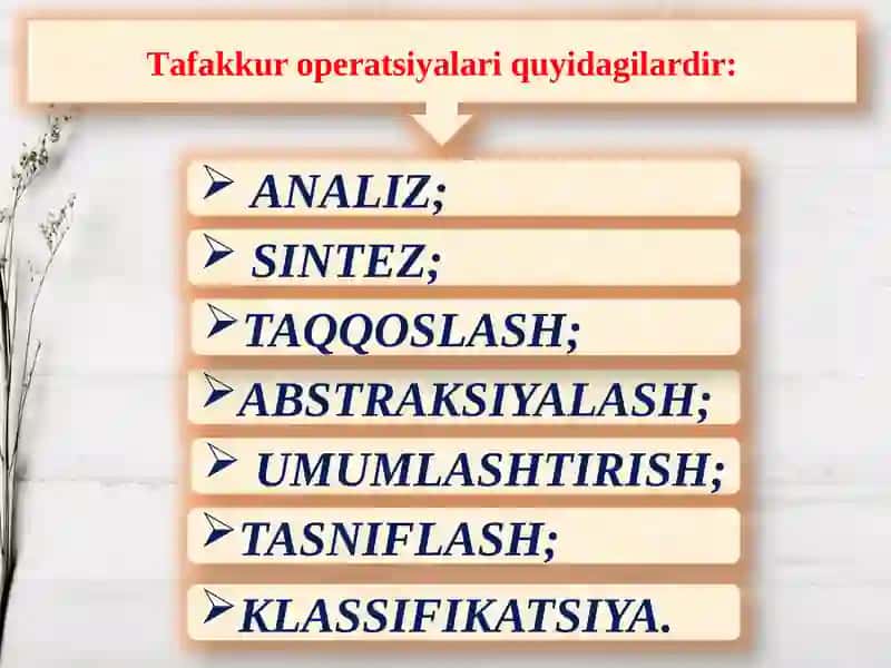 Maktabgacha yoshdagi bolalarda tafakkur rivojlanishi va psixodiagnostikasi 3