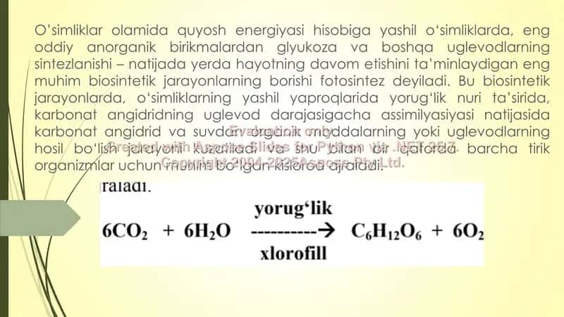 O'simliklarda organik moddalarni hosil bo'lishi 3