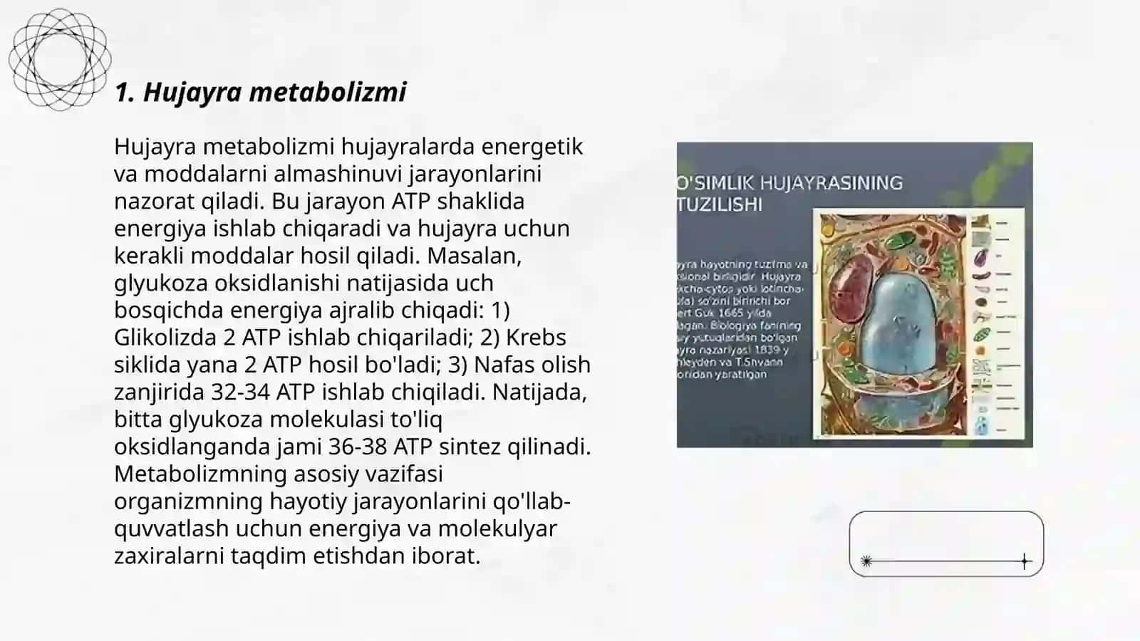 O'simliklar hujayrasining fizalogiyasini o'rganish uslublari 3