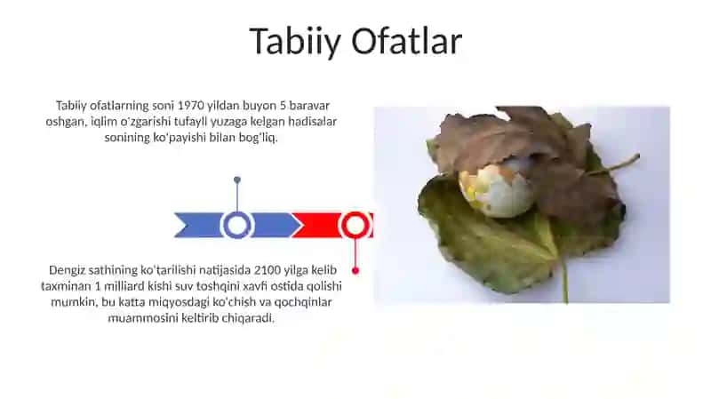 Dunyo mamlakatlarining atrof-muhit va ekologiya masalalari 3