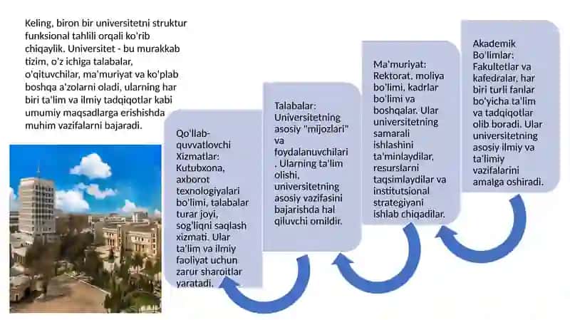 Struktur funksional tahlil 3