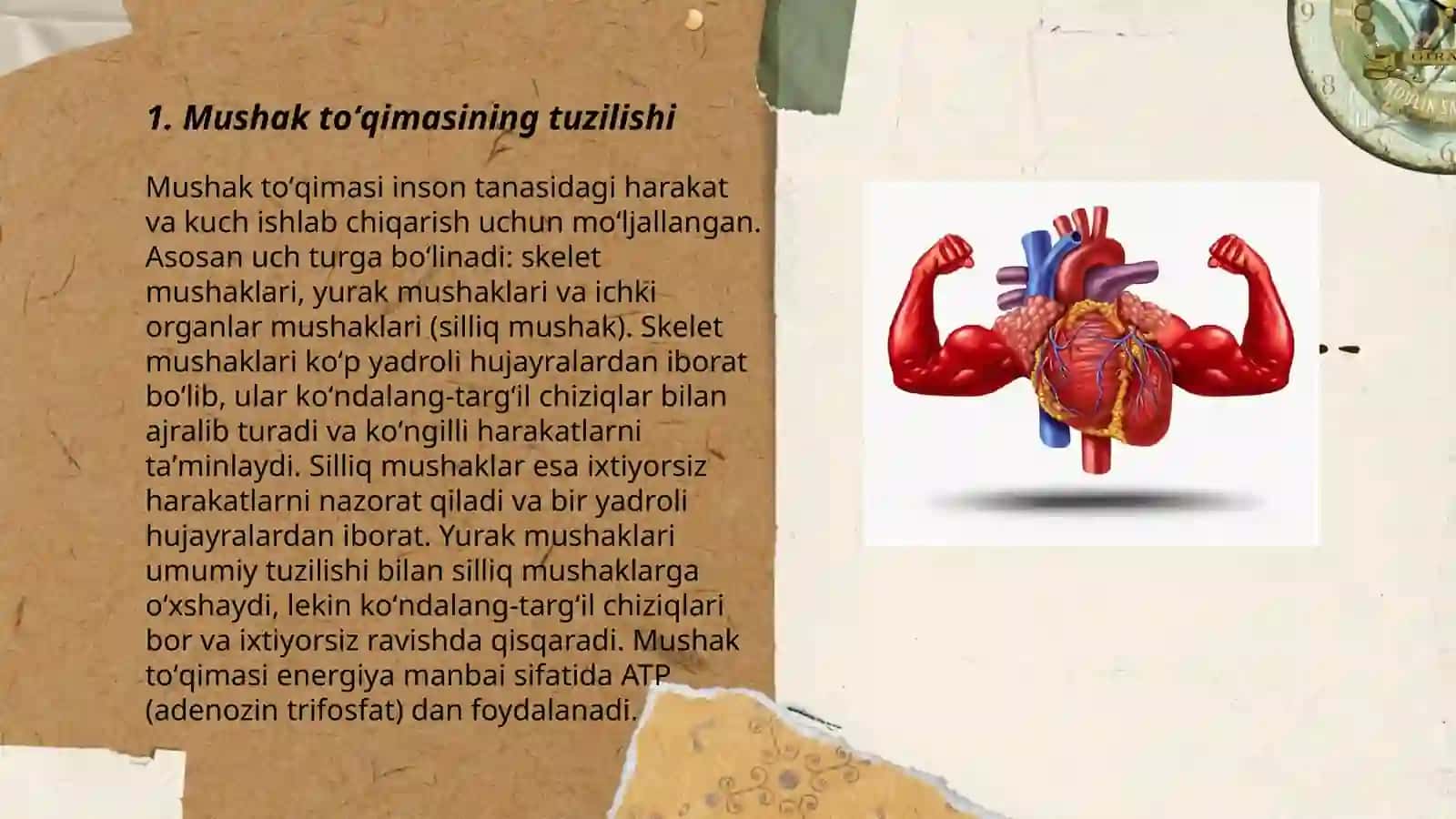 Mushak toʻqima 3