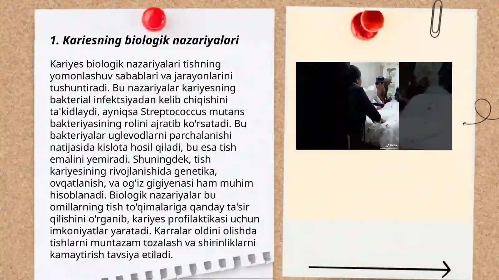 Kariesning biologik nazariyalari 3