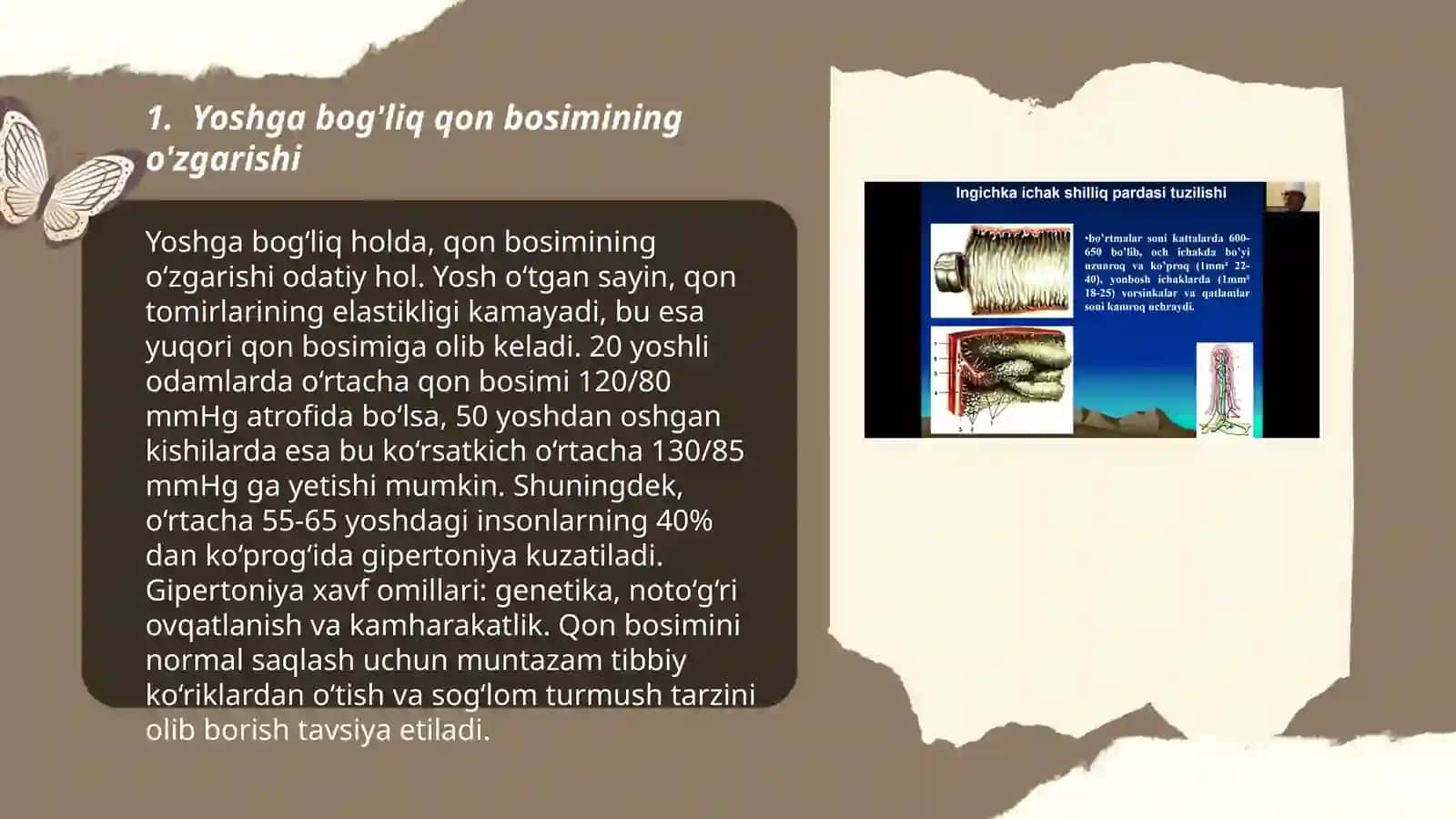 Qon va qon aylanish tizimining yoshga oid xususiyatlari 3