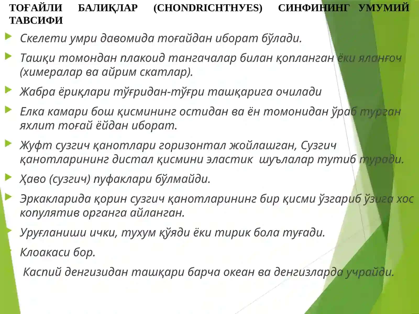 Тоғайли балиқлар-Pisces катта синфи 3