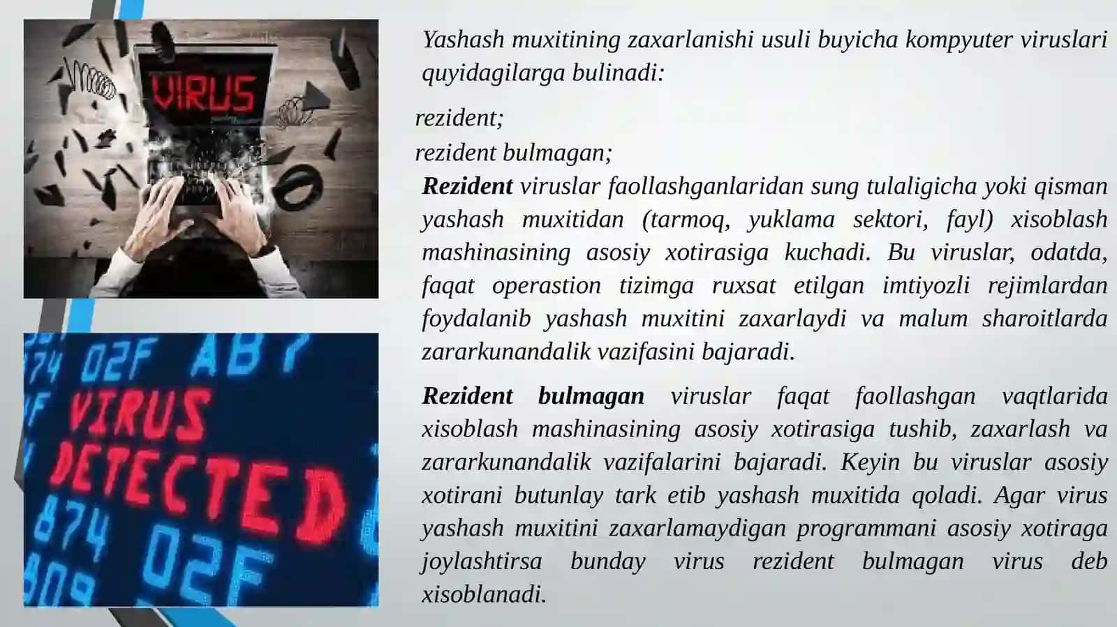 Viruslar haqida tushuncha 3