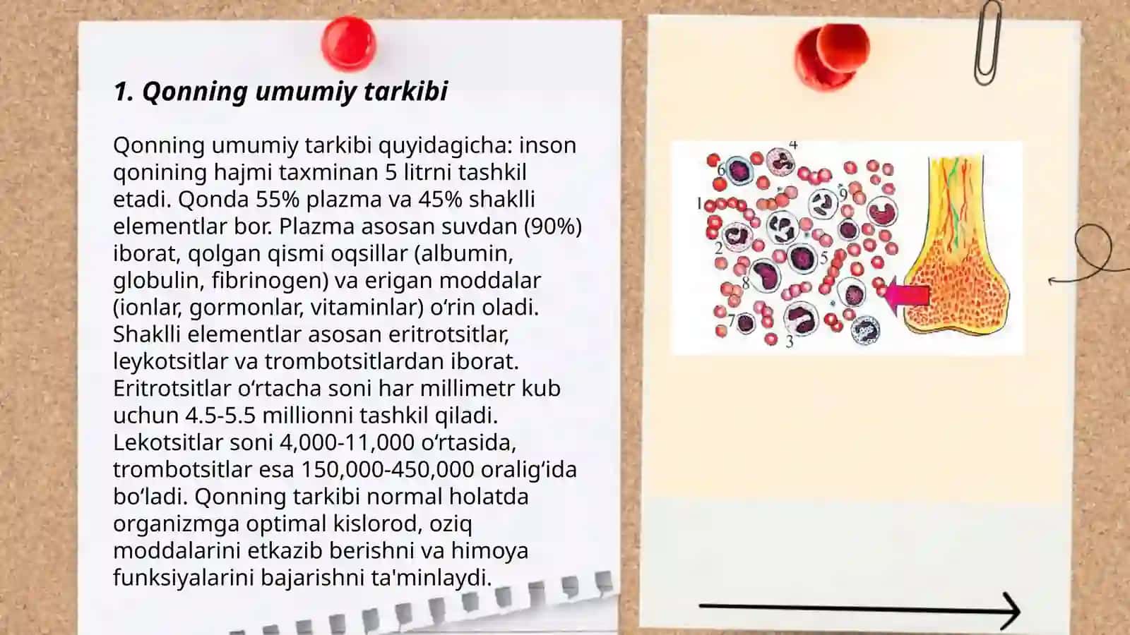 Qonning shaklli elementlari - eritrotsitlar, leykotsitlar va uning xillari,trombotsitlar 3