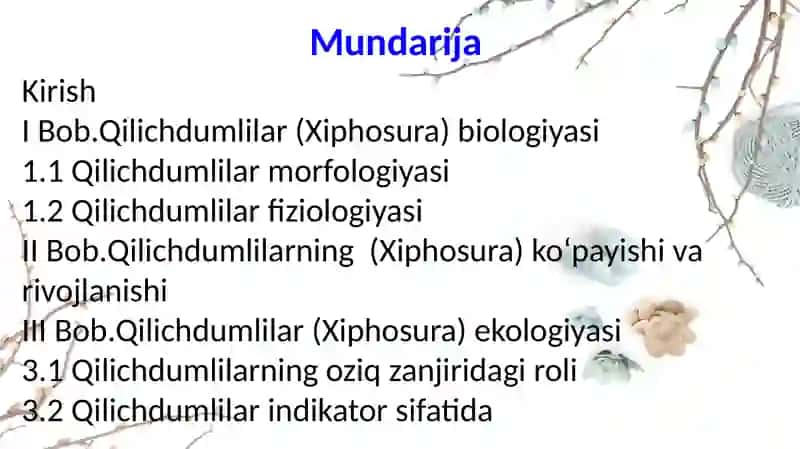Qilichdumlilar(Xiphosura) sinfibiologiyasi va ekologiyasi 3