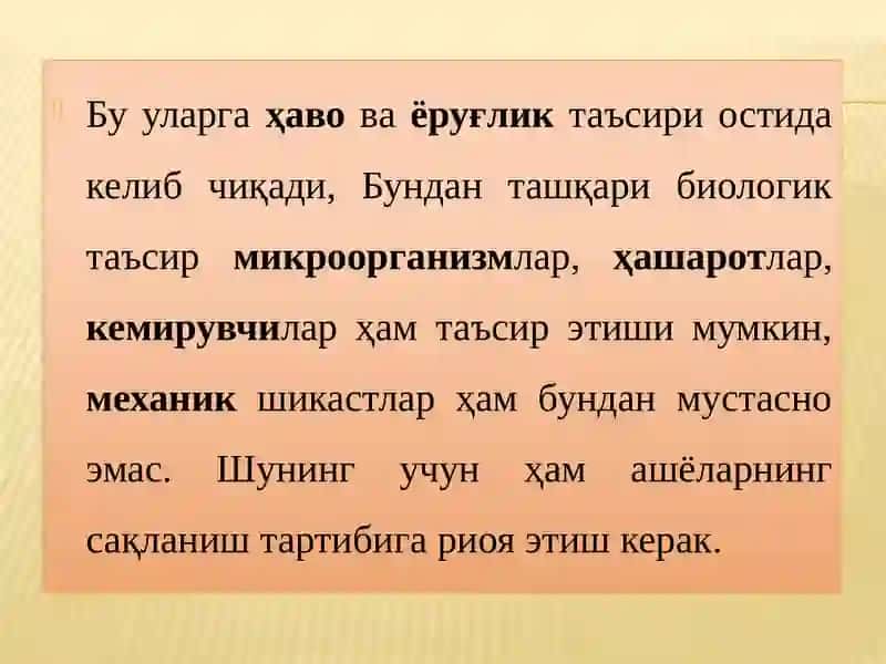 Музей фондларини сақлаш ва замонавий музей концепцияси 3