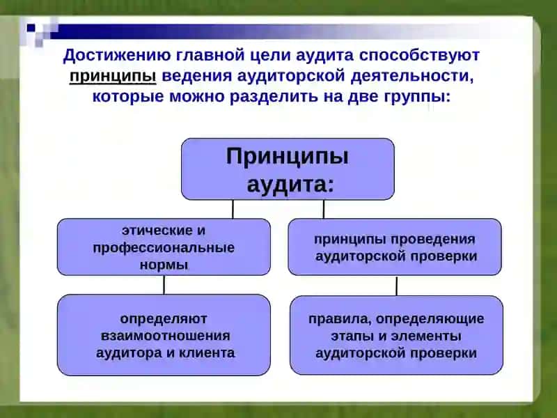 ПОВЕДЕНИЕ АУДИТОРСКОЙ ОРГАНИЗАЦИИ ПРИ ОБНАРУЖЕНИИ НЕТОЧНОСТЕЙ В ФИНАНСОВОЙ ОТЧЕТНОСТИ 3
