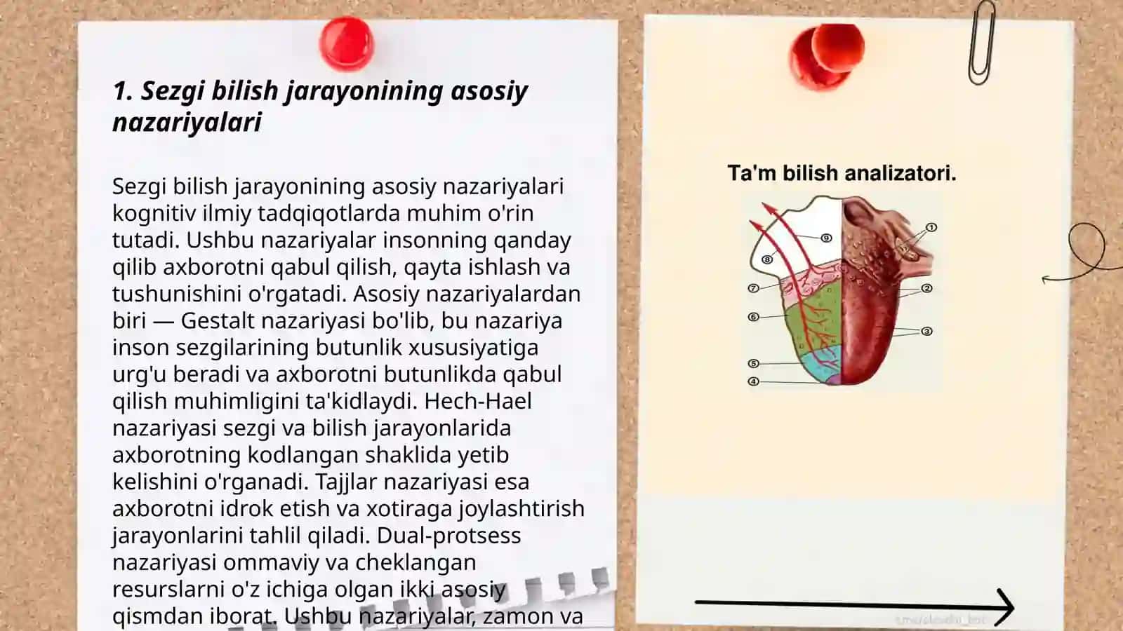Sezgi bilish jarayonining asosi sifatida 3