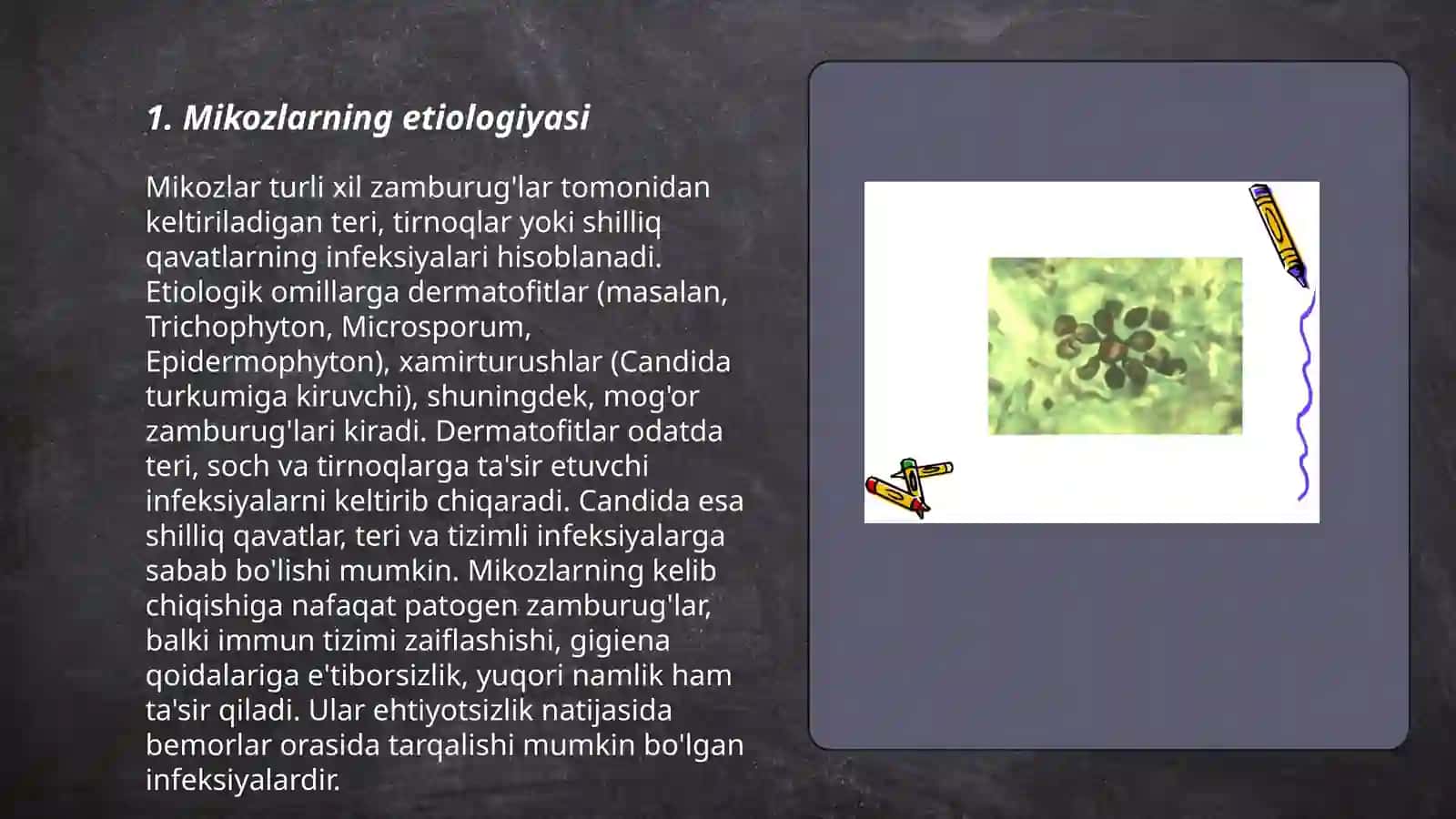 Mikoz va mikotaksikozlar patomorfologiyasi 3