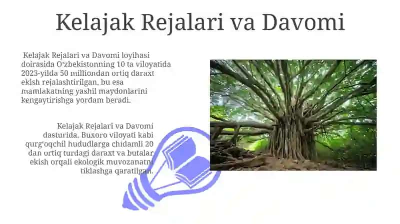 Dunyoda 1 trillion daraxt ekish loyihasi 3
