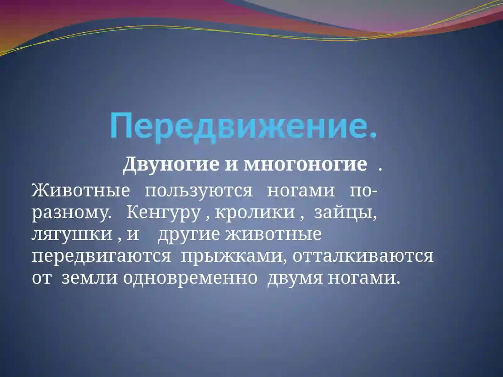 Удивительный мир животных.Открытое мероприятие 3