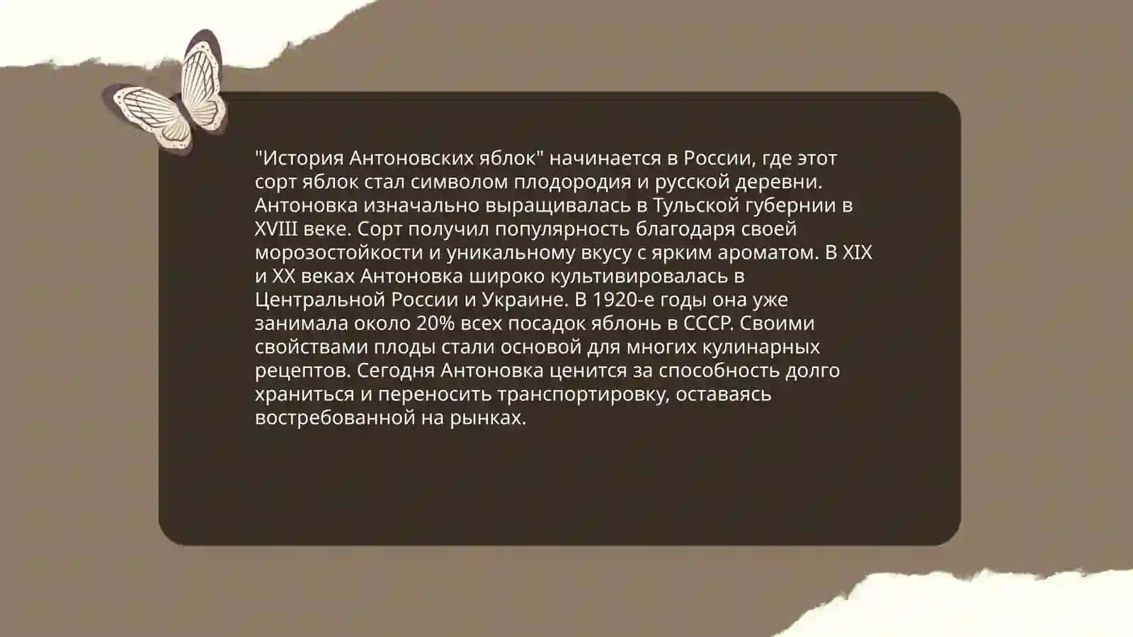 Антоновский яблоки 3