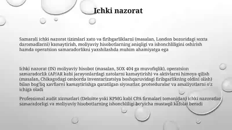 Auditorlik tashkilotining proffesional xizmatlari 3