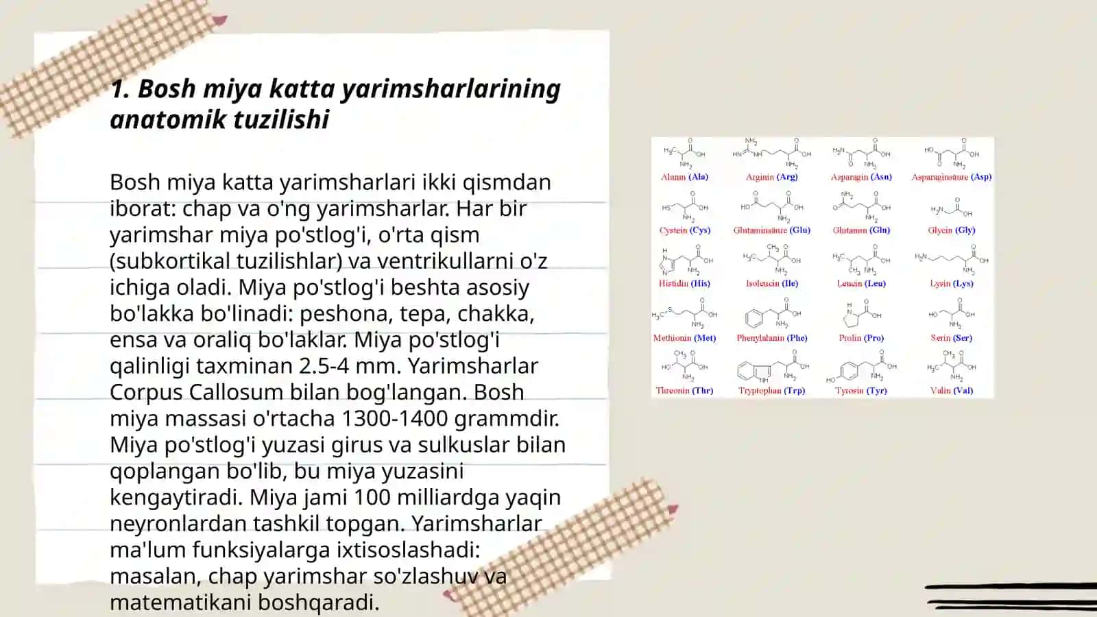 Bosh miya katta yarimsharlarining anatomik tuzilishi 3