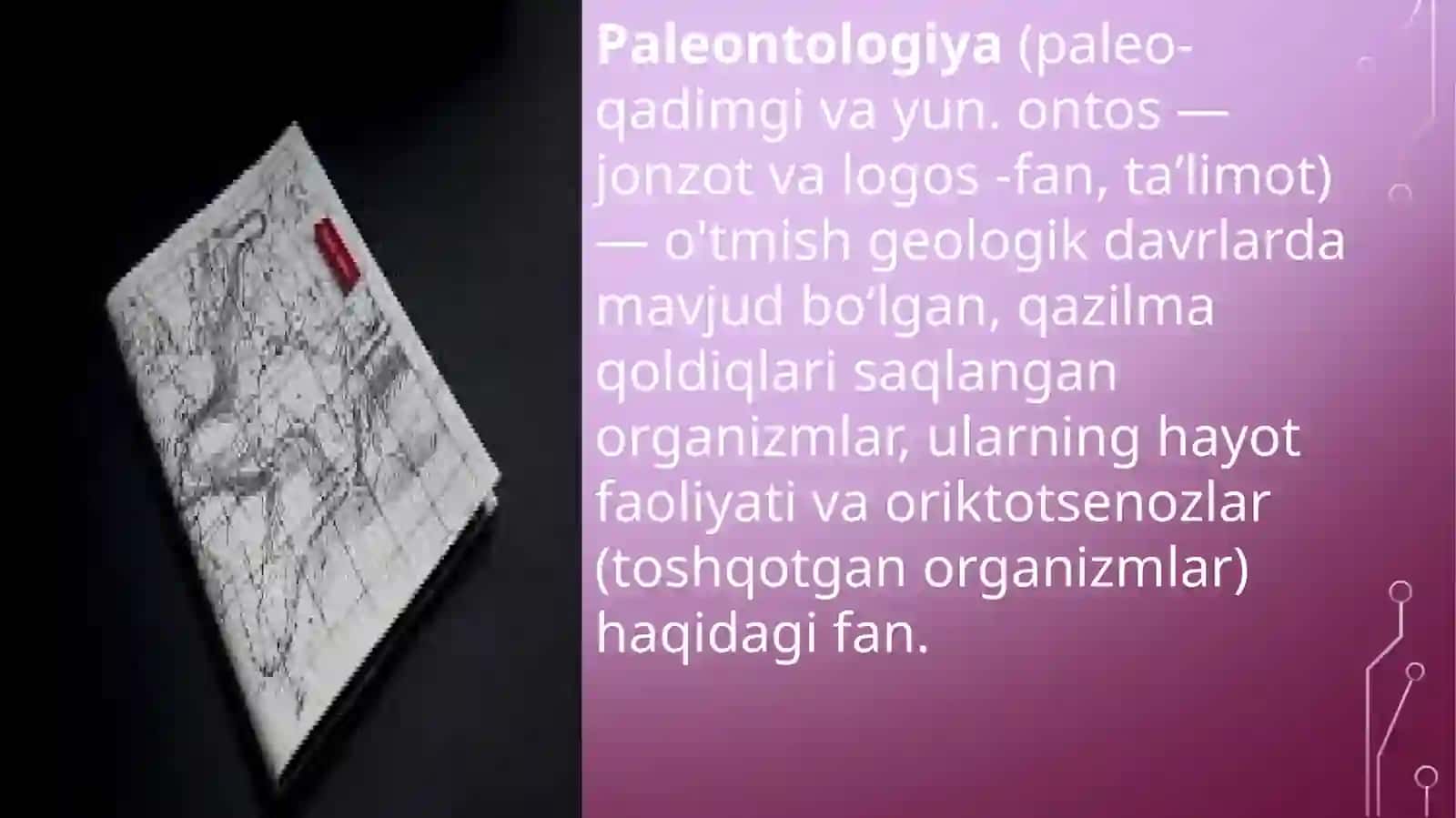 Paleontropologik va etnografik ma’lumotlar tarixi 3