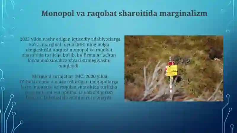 Marjinalizm va uning yoʼnalishlari 3