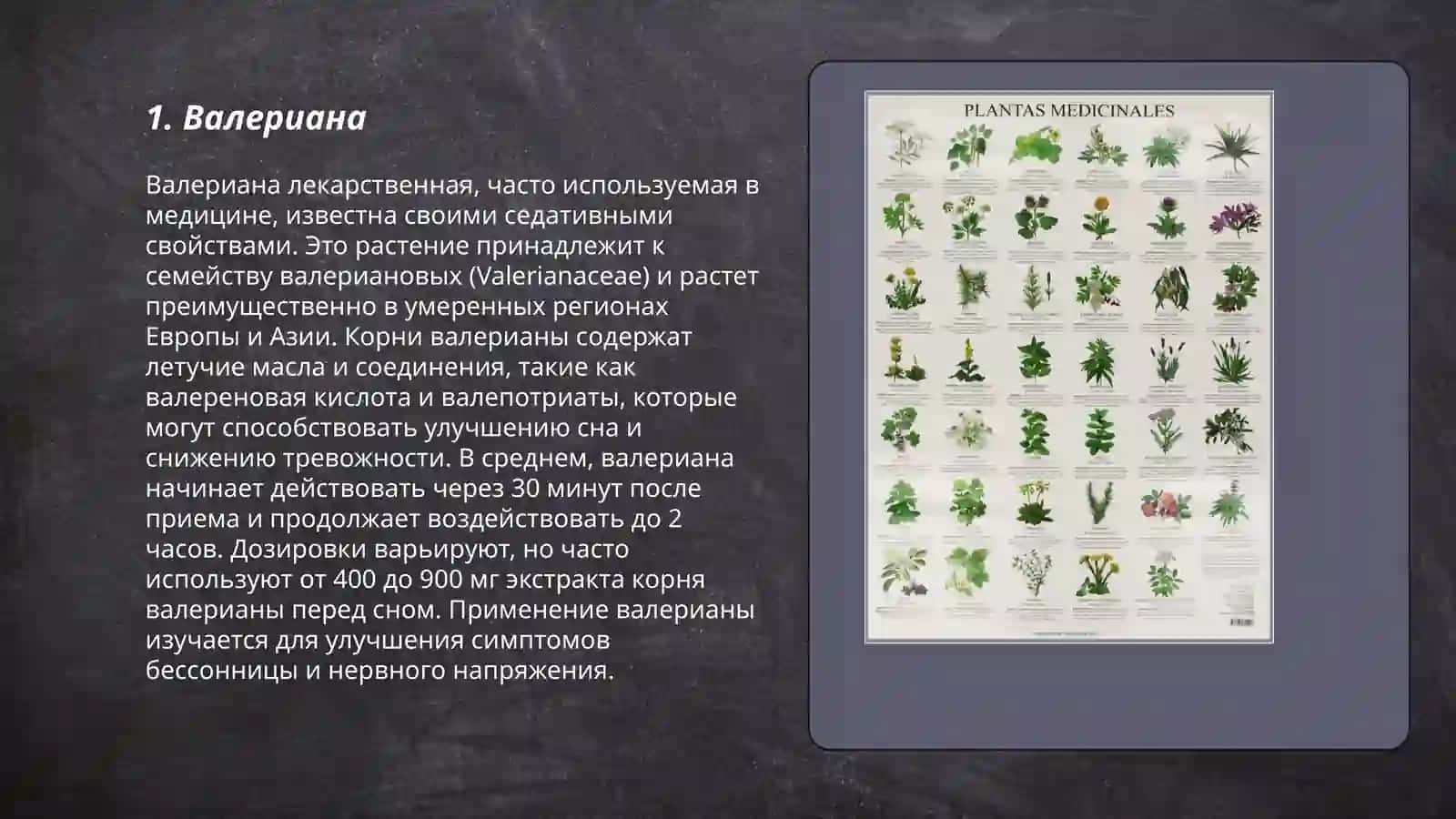 Некоторые лекарственные растения, используемые в народной медицине 3