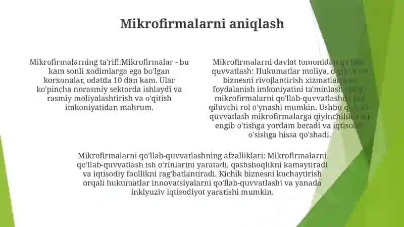 Mikrofirma Faoliyatini Davlat Tomonidan Qo'Llab Quvvatlanishi 3