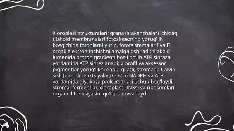 Aminokislotalarni ajratib olish va identifikatsiyalash usullari 3