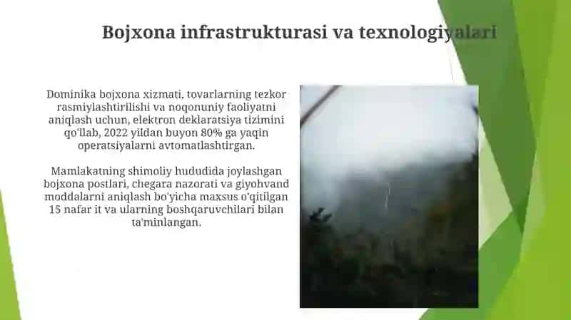 Dominika Respublikasining Bojxona Nazorati Tizimi 3