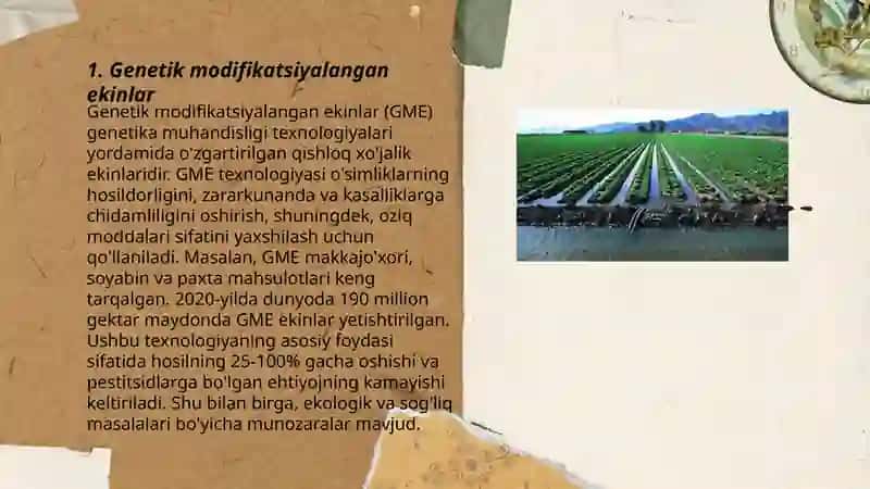 Genetik modifikatsiyalangan ekinlar 3