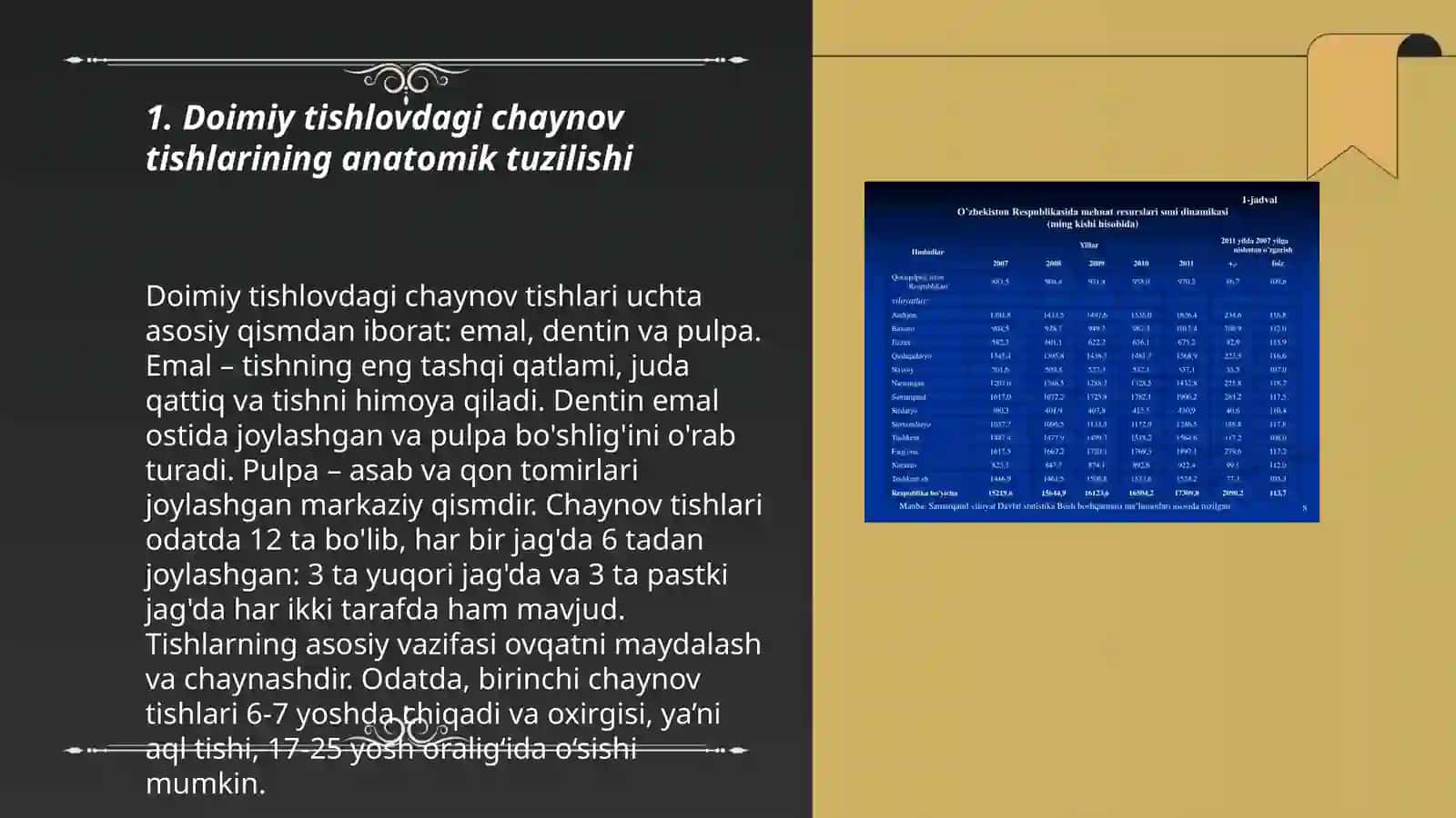 Doimiy tishlovdagi chaynov tishlarining tuzilishi 3