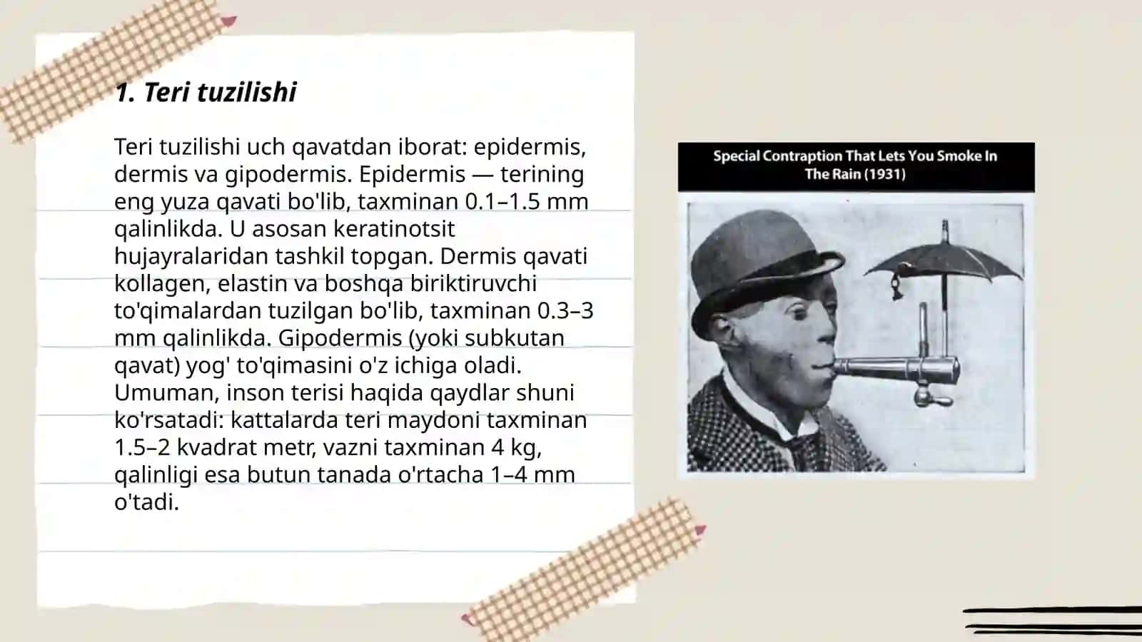 Teri Tam bilish korish eshitish va hid bilish analizatorining tuzulishi 3