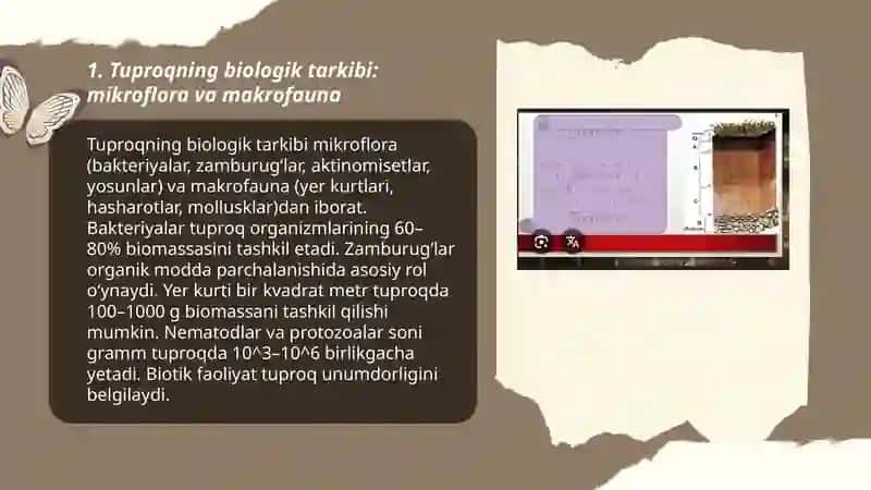 Tuproqning biologik omili 3