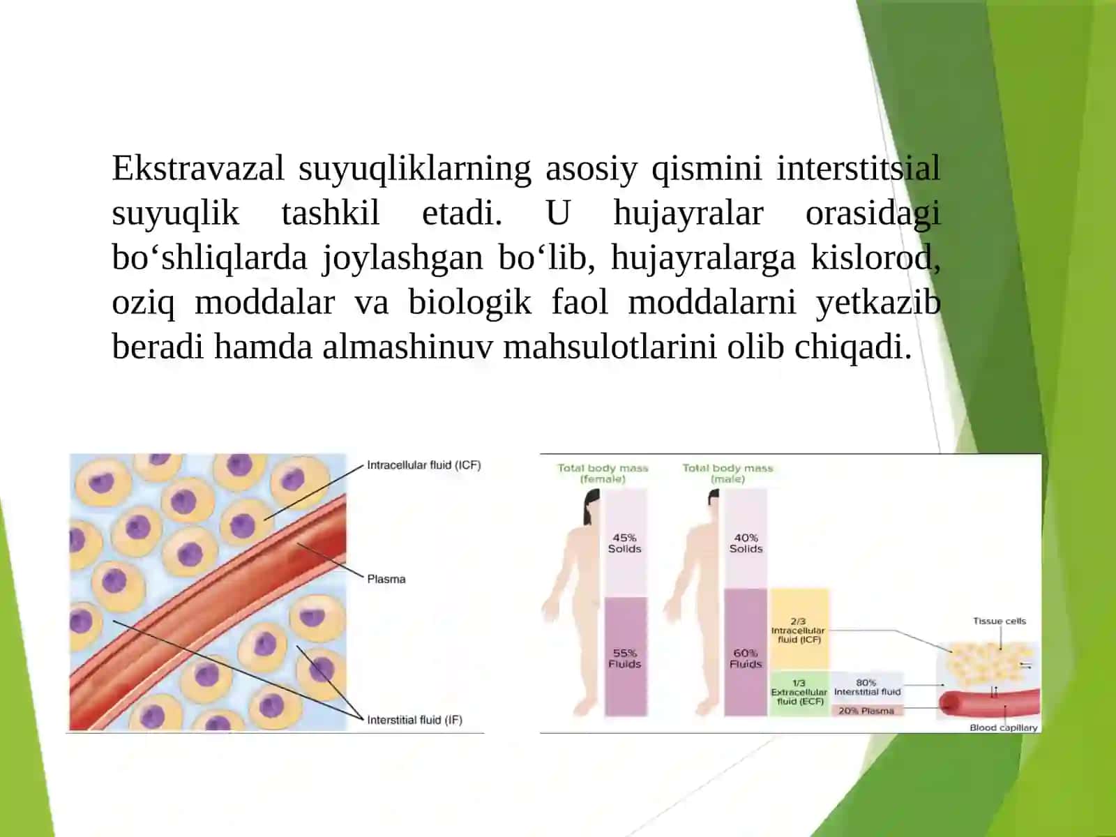 Organizmning ekstravazal suyuqliklari 3