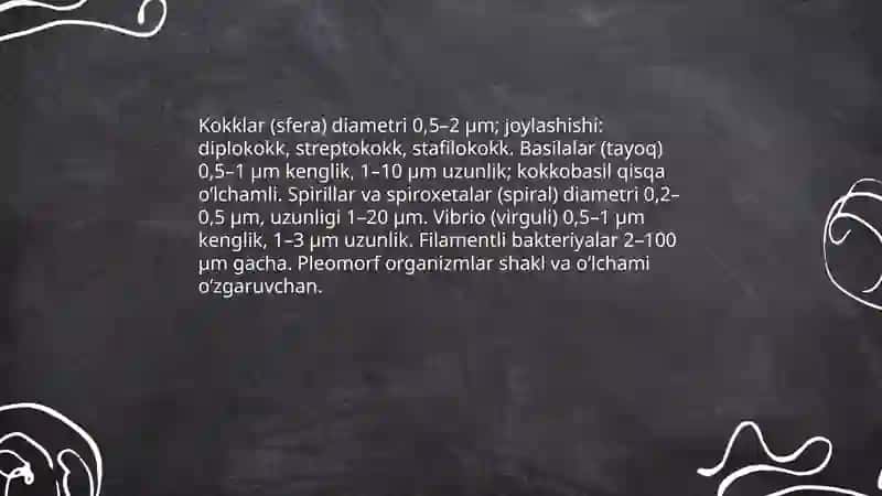Mikrorganizimlarning morfologiyasi tashqi tuzilishi 3