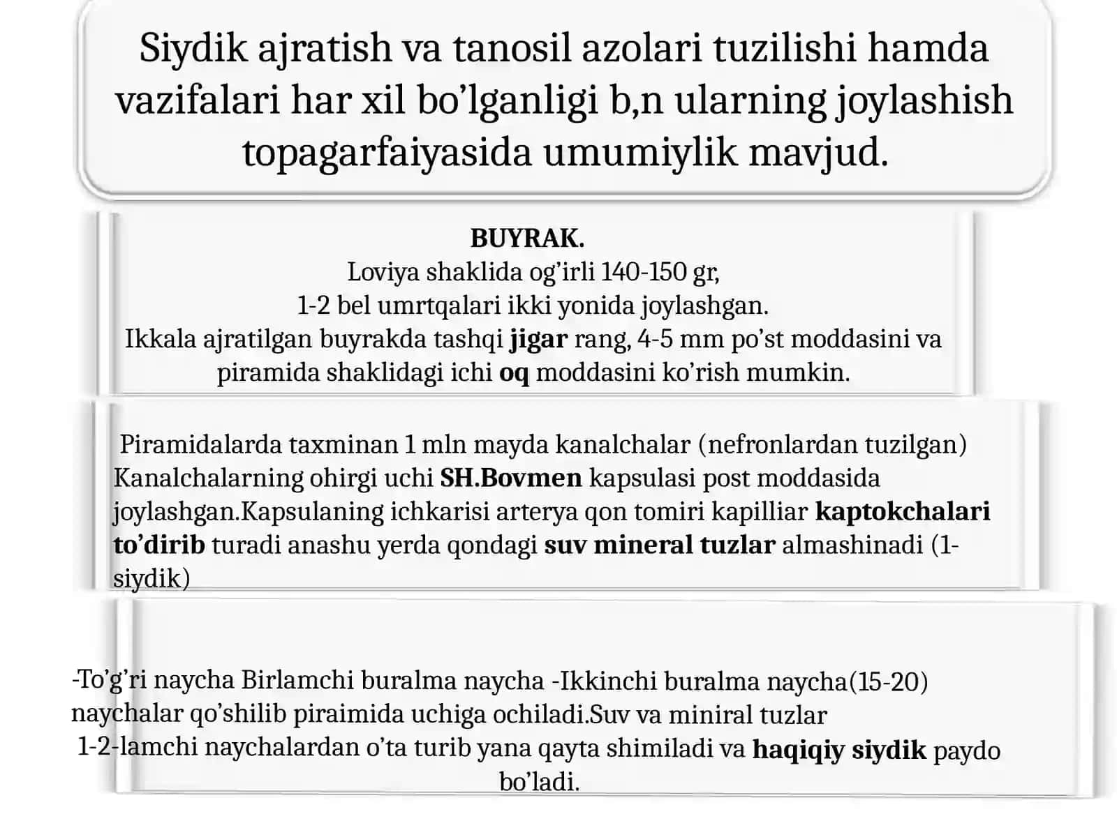 Siydik azolari tuzilishi va fizologiyasi 3