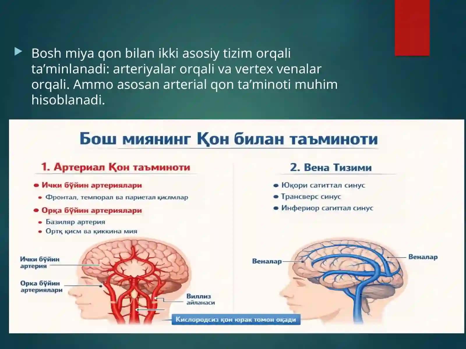Qon tomir kasalligi 3