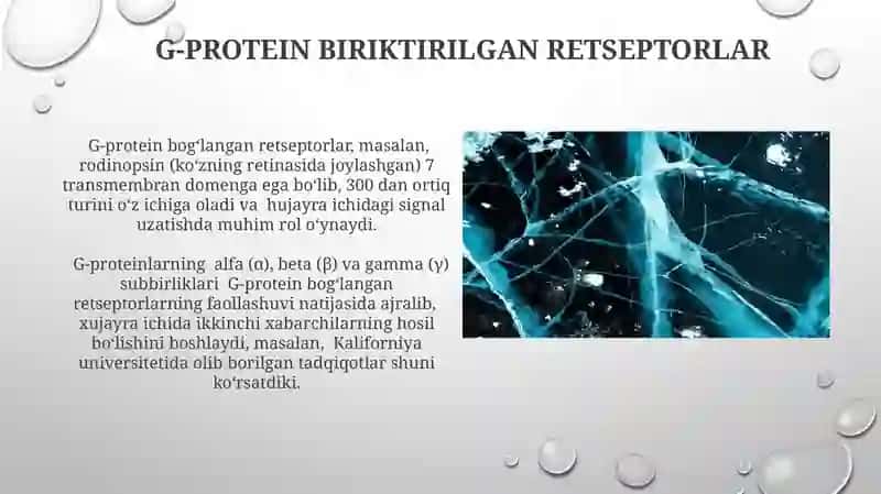 Sensor tizimlari faoliyatining biokimyoviy asoslari 3
