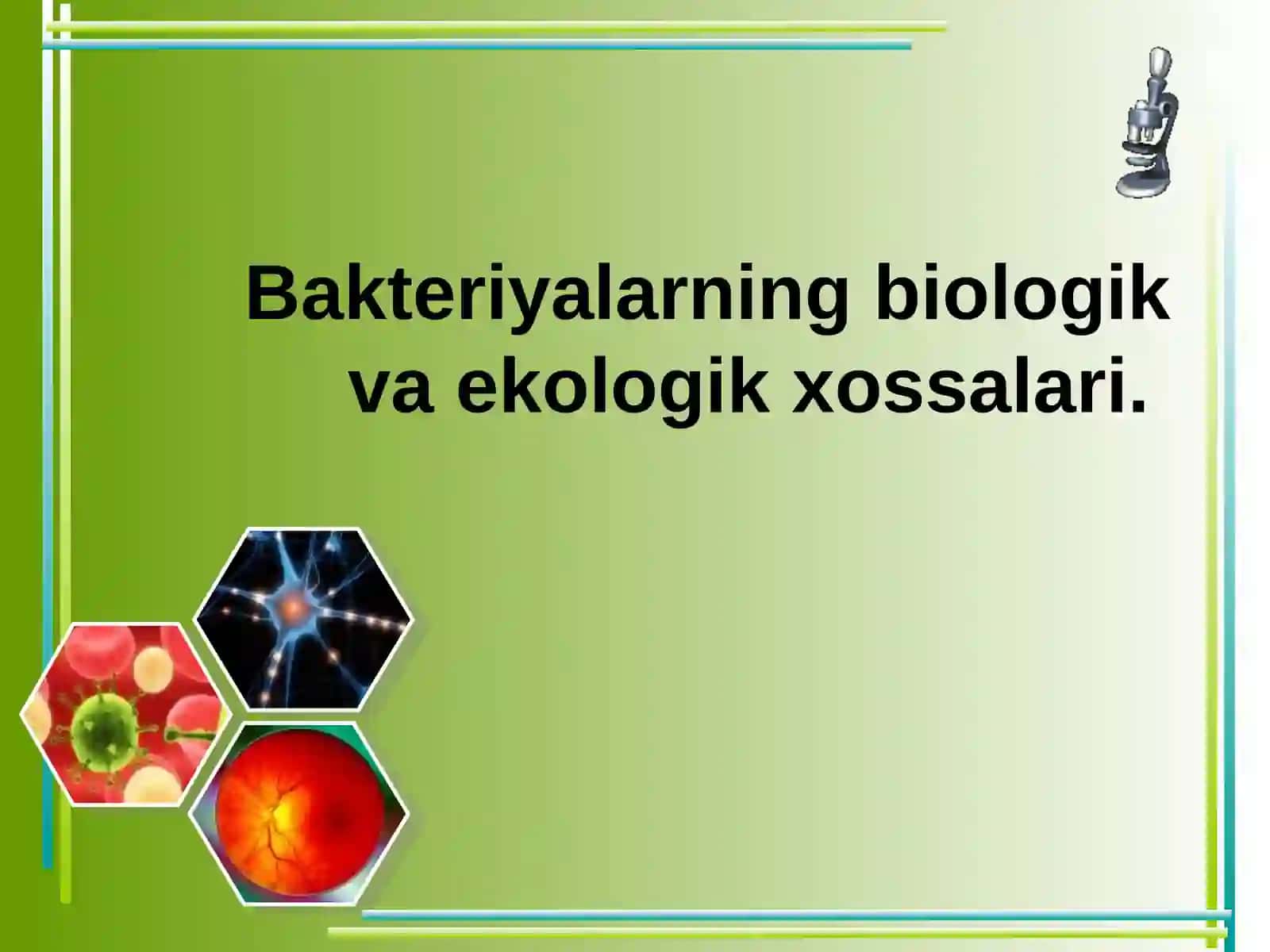 Bakteriyalar sinfining biologik xossalari va xalq xo`jaligidagi ahamiyati 3