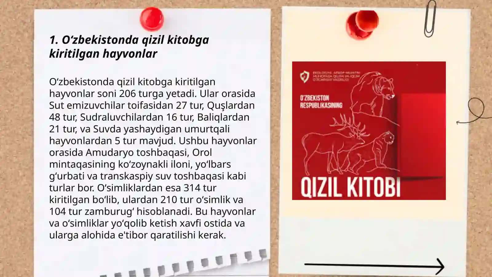 Oʻzbekistonga qizil kitobga kiritilgan hayvonlar va osimliklar 3