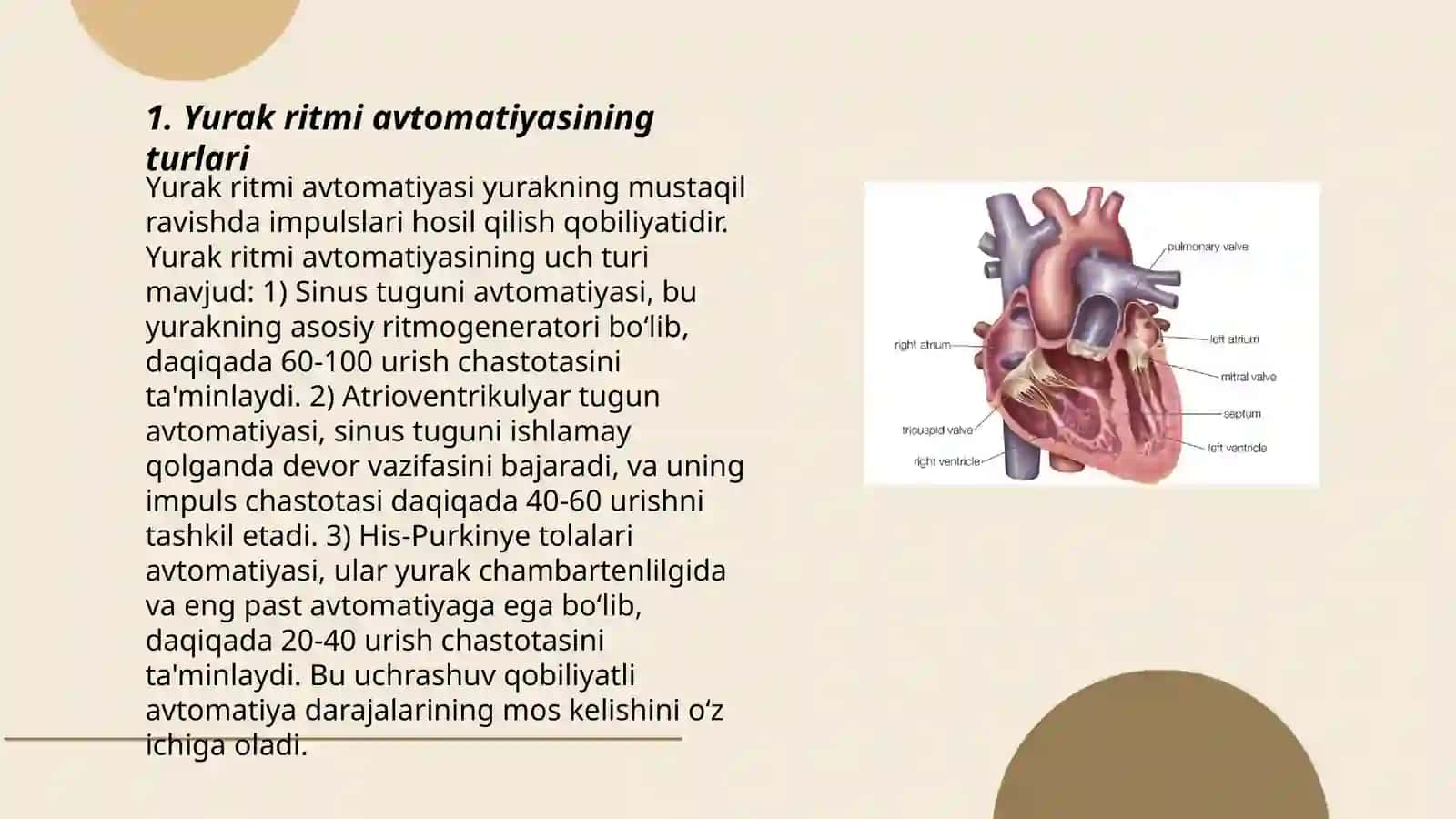 Yurak avtomatiyasi 3