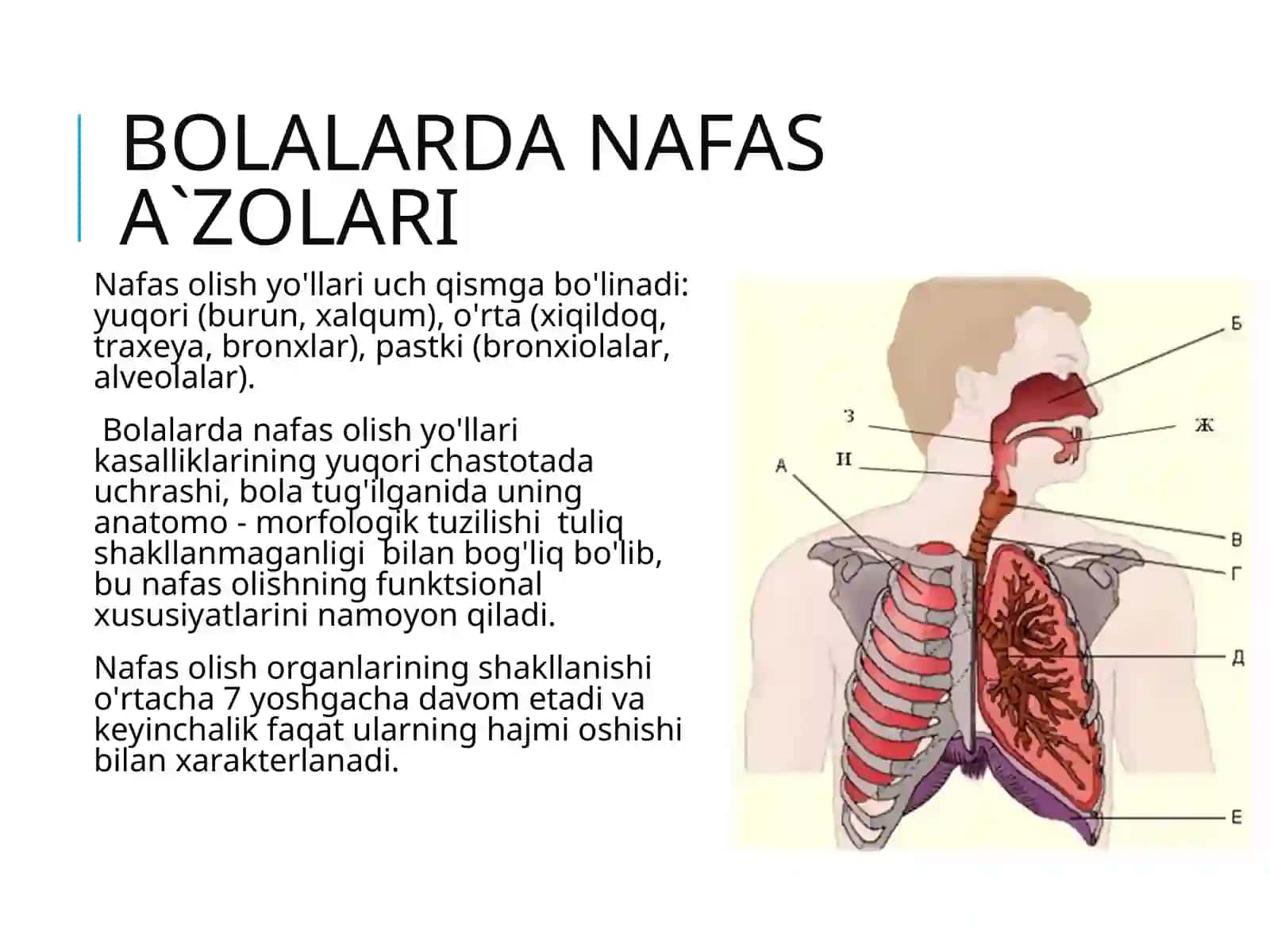 BOLALARDA NAFAS A’ZOLARI KASALLIKLARI, PNEVMONIYA 3