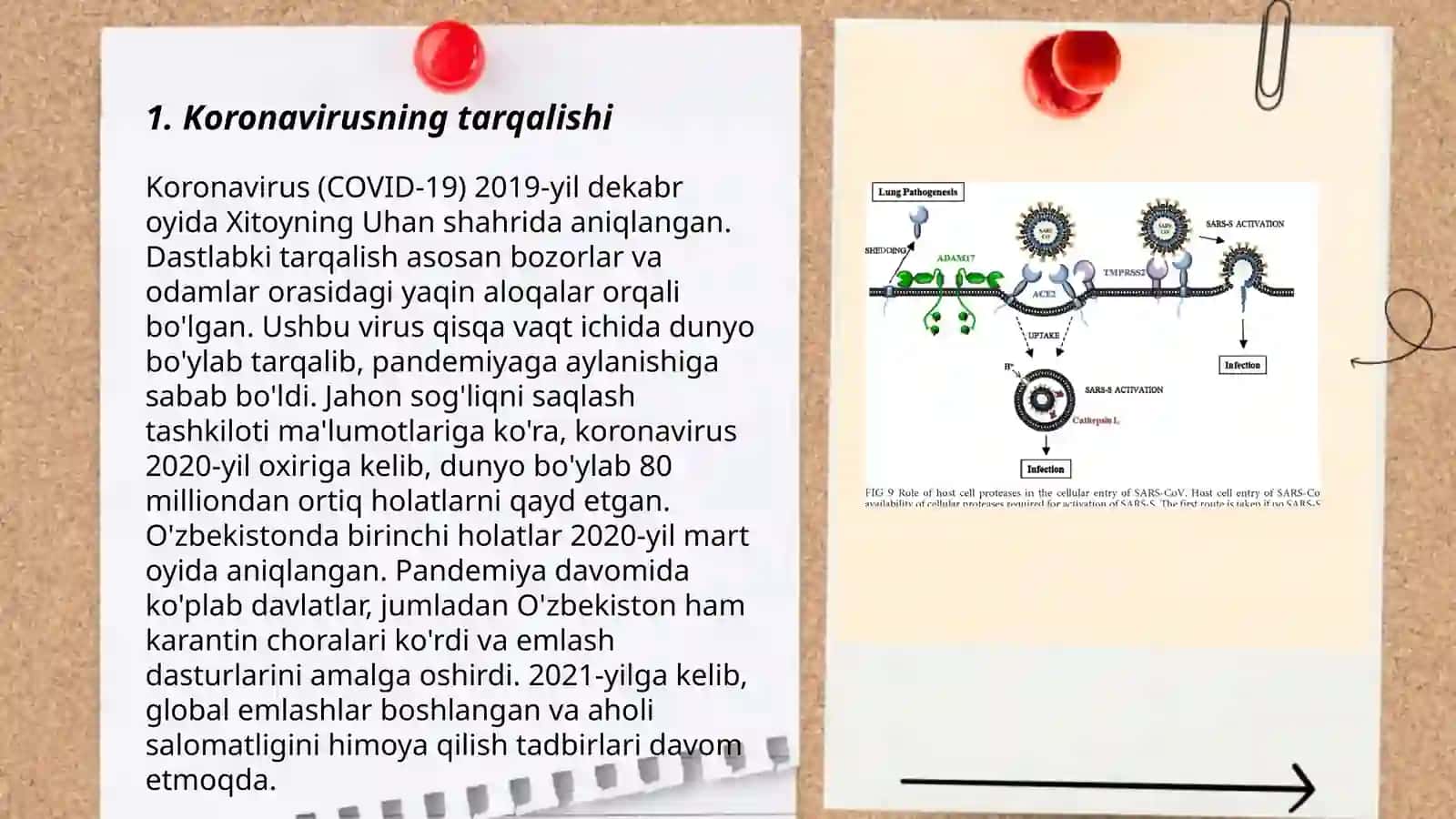 Nafas yoʻllari infeksiyasi.Koronavirus,gripp 3