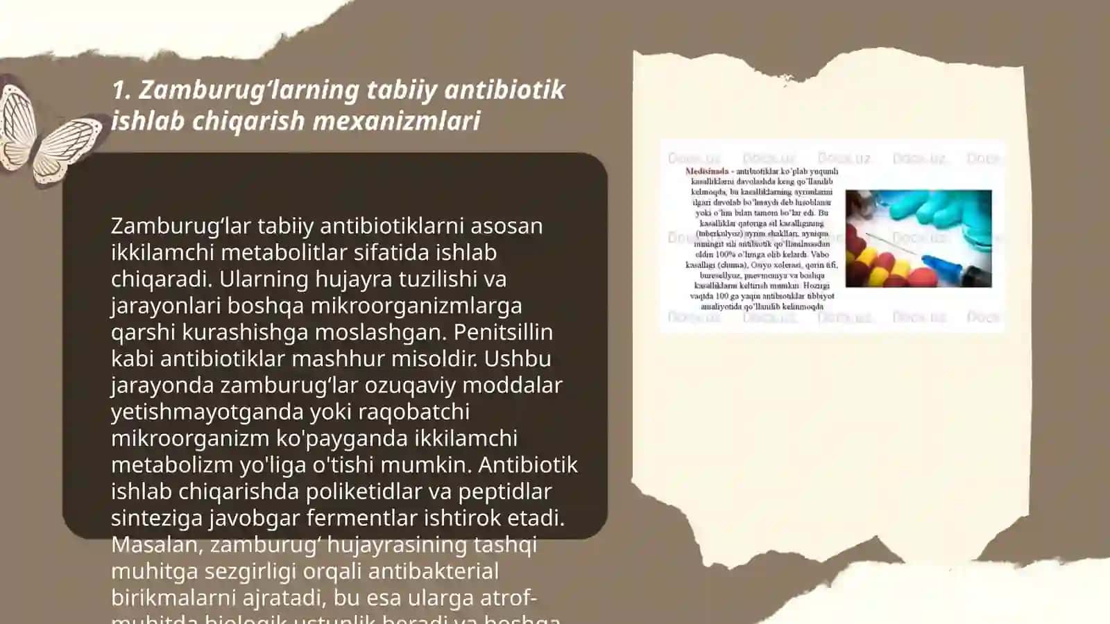 Zamburugʻlar sintez qiladigan antibiotiklar 3