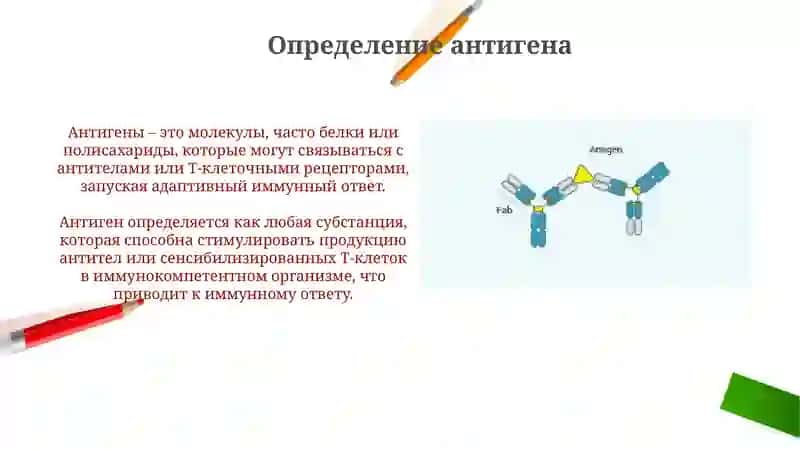 Антигениантитела 3