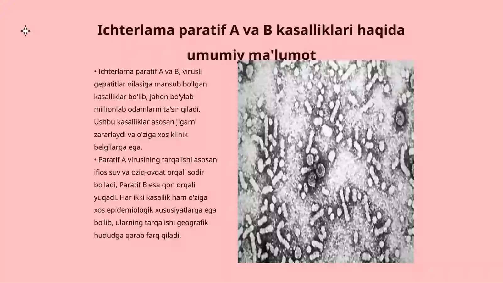 Ichterlama paratif A va B etiologiyasi epidemiologiyasi 3