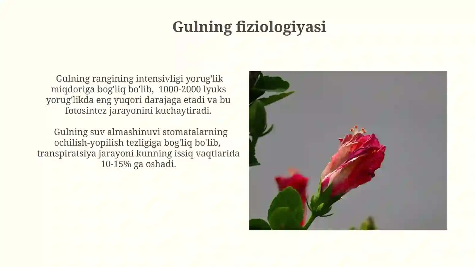 Atirgul ôsimligining ôziga xos ôsimliksifatidagitahlili 3