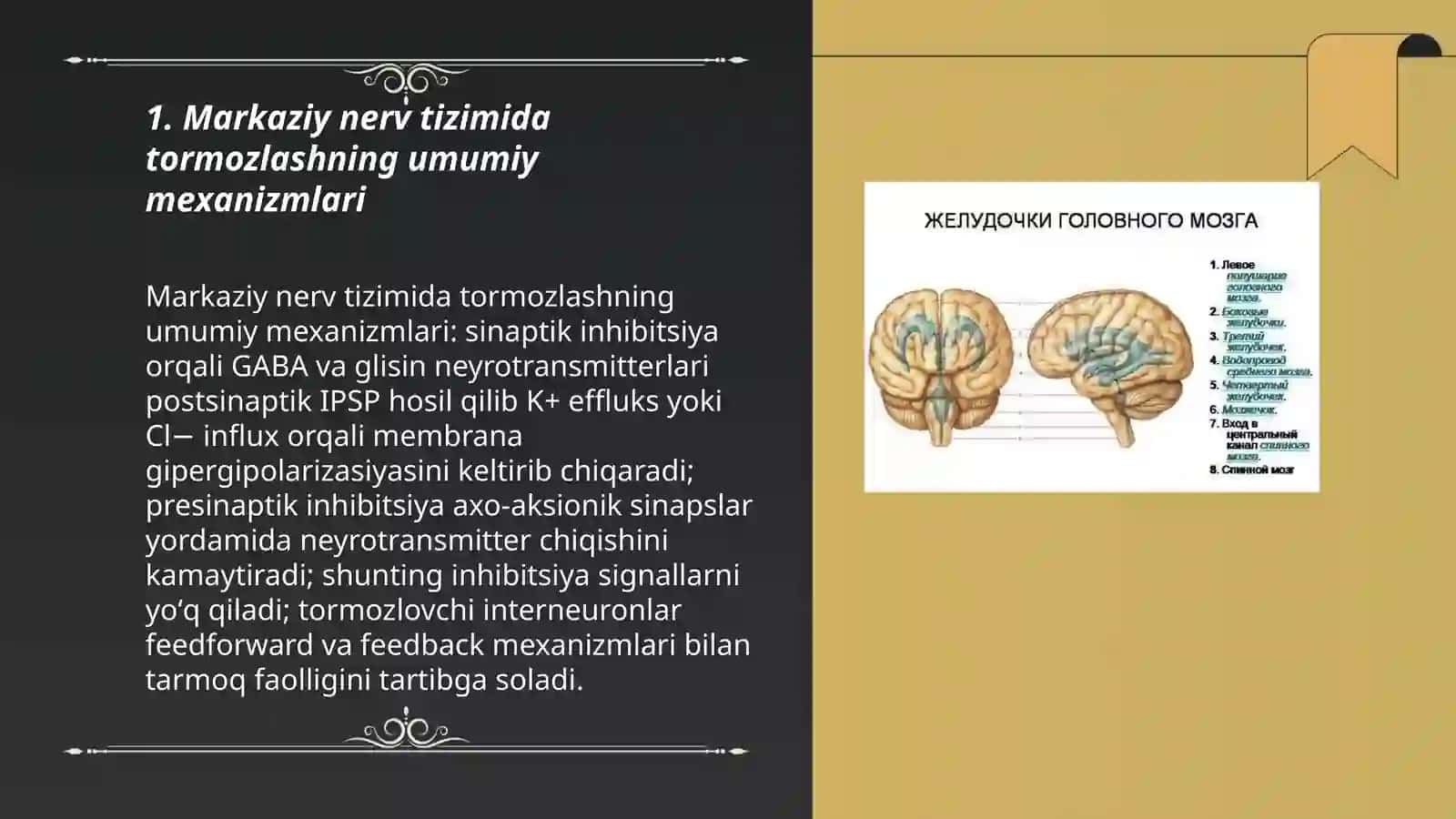 Markaziy nerv tizimi va uning funksiyalari Tormozlash 3