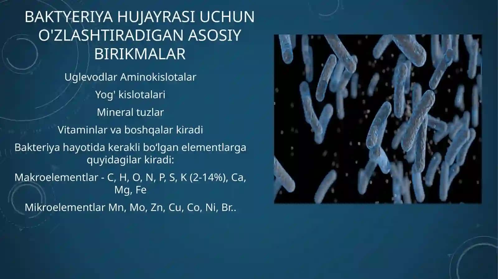 Bakteriyalarning fiziologiyasi 3