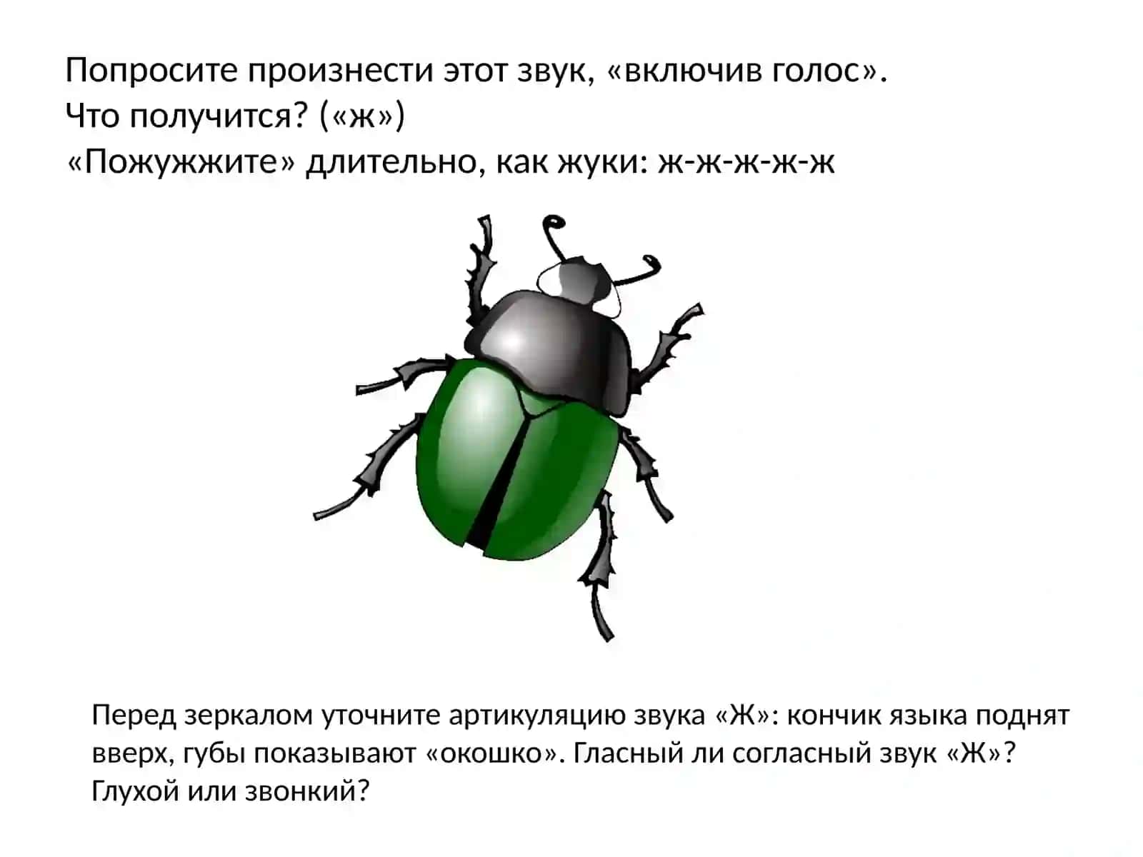 Звук Ж и буква Ж 3