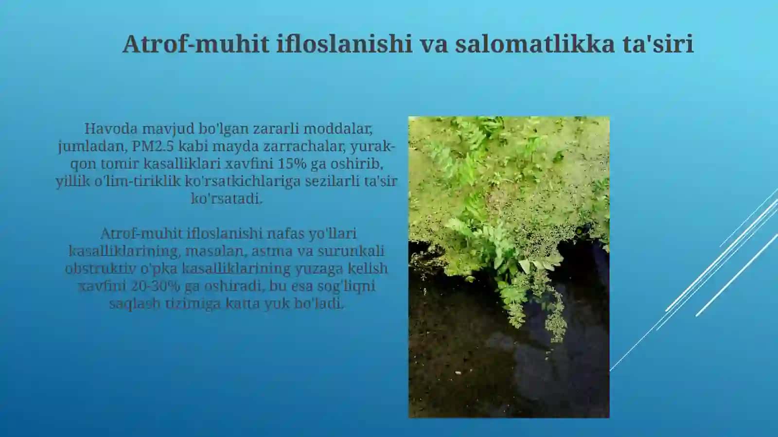 Atrofmuhitvaodamorganizminingbogʻliqligi 3